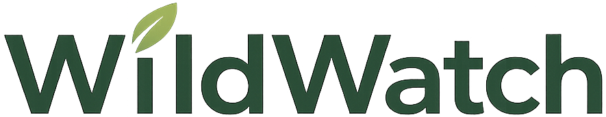 Zurück zur Startseite